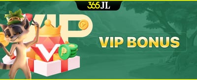 VIP Exclusive Bonus